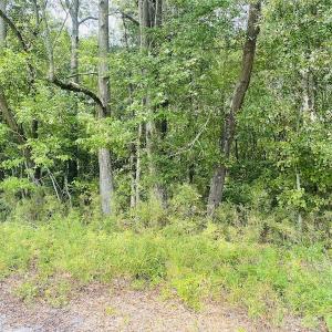 Photo #24 of SOLD property in Off SR 1423 RedHill Church Rd, Whitakers, NC 101.0 acres