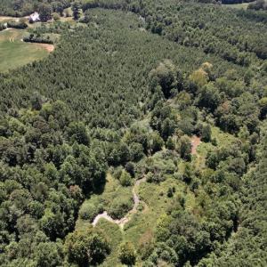 Photo #26 of SOLD property in Off Savage Road,  Spring Hope , NC 200.0 acres