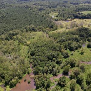 Photo #7 of SOLD property in Off Savage Road,  Spring Hope , NC 200.0 acres