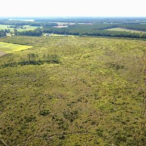 Photo #9 of SOLD property in Off Carolina Rd, Suffolk, VA 115.0 acres