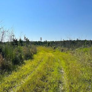 Photo #25 of SOLD property in Off Carolina Rd, Suffolk, VA 115.0 acres