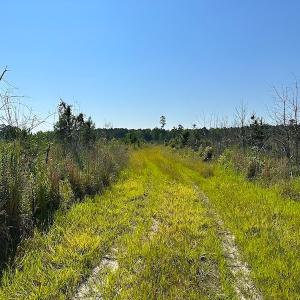 Photo #26 of SOLD property in Off Carolina Rd, Suffolk, VA 115.0 acres