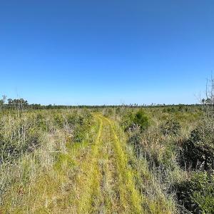 Photo #27 of SOLD property in Off Carolina Rd, Suffolk, VA 115.0 acres