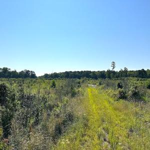 Photo #30 of SOLD property in Off Carolina Rd, Suffolk, VA 115.0 acres