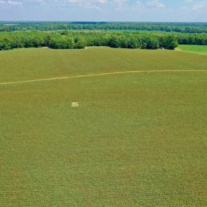 Photo #12 of SOLD property in Off Hargrave Rd, Jackson, NC 41.0 acres