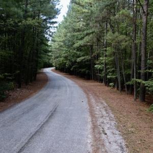 Photo #17 of SOLD property in Off Warren County Acres Road , Littleton, NC 8.0 acres