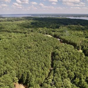 Photo #7 of SOLD property in Off Warren County Acres Road , Littleton, NC 8.0 acres