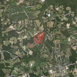 Photo #12 of SOLD property in Off Watermill Road, Mullins, SC 79.1 acres