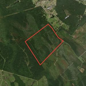 Photo #1 of SOLD property in Off Keene Road, Marion, SC 101.8 acres