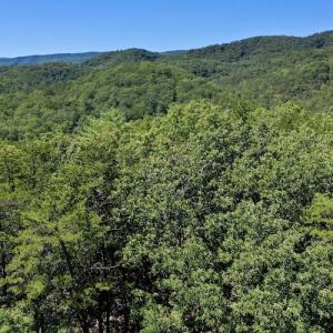 Photo #2 of SOLD property in Off Doe Circle, Clifton Forge, VA 10.6 acres