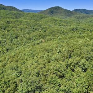 Photo #5 of SOLD property in Off Doe Circle, Clifton Forge, VA 10.6 acres