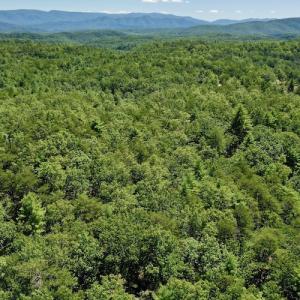 Photo #8 of SOLD property in Off Doe Circle, Clifton Forge, VA 10.6 acres