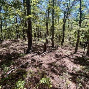 Photo #16 of SOLD property in Off Doe Circle, Clifton Forge, VA 10.6 acres