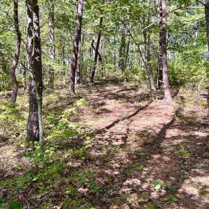 Photo #17 of SOLD property in Off Doe Circle, Clifton Forge, VA 10.6 acres