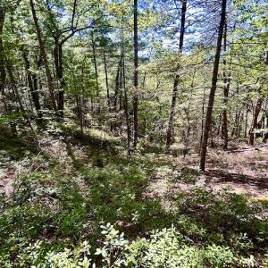 Photo #18 of SOLD property in Off Doe Circle, Clifton Forge, VA 10.6 acres