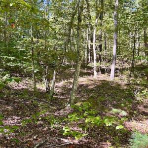 Photo #23 of SOLD property in Off Doe Circle, Clifton Forge, VA 10.6 acres