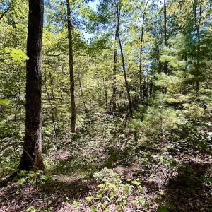 Photo #24 of SOLD property in Off Doe Circle, Clifton Forge, VA 10.6 acres