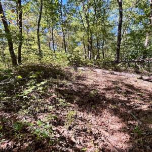 Photo #27 of SOLD property in Off Doe Circle, Clifton Forge, VA 10.6 acres