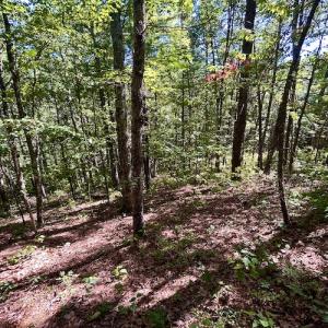 Photo #28 of SOLD property in Off Doe Circle, Clifton Forge, VA 10.6 acres