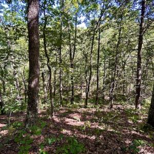 Photo #29 of SOLD property in Off Doe Circle, Clifton Forge, VA 10.6 acres