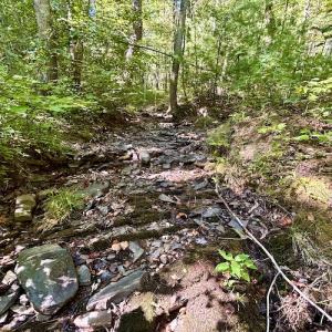 Photo #31 of SOLD property in Off Doe Circle, Clifton Forge, VA 10.6 acres