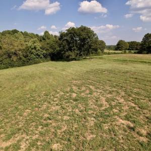 Photo #12 of SOLD property in Off Willis Pinnell Road , Norlina, NC 2.9 acres
