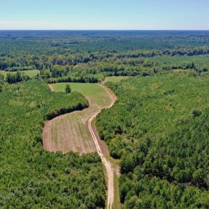 Photo #3 of SOLD property in Off Dennis Harris Rd, Macon, NC 138.1 acres