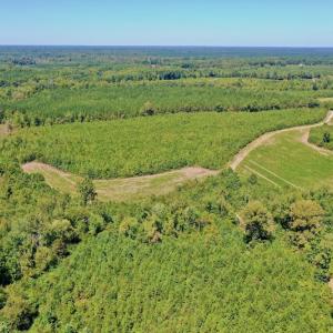 Photo #6 of SOLD property in Off Dennis Harris Rd, Macon, NC 138.1 acres