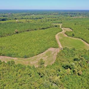 Photo #7 of SOLD property in Off Dennis Harris Rd, Macon, NC 138.1 acres
