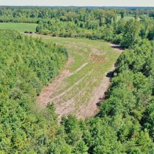 Photo #8 of SOLD property in Off Dennis Harris Rd, Macon, NC 138.1 acres