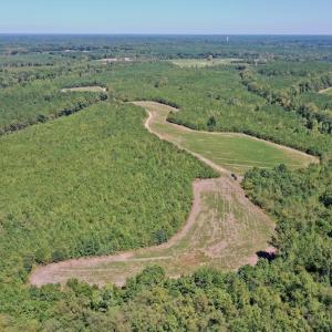 Photo #9 of SOLD property in Off Dennis Harris Rd, Macon, NC 138.1 acres