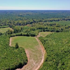 Photo #26 of SOLD property in Off Dennis Harris Rd, Macon, NC 138.1 acres