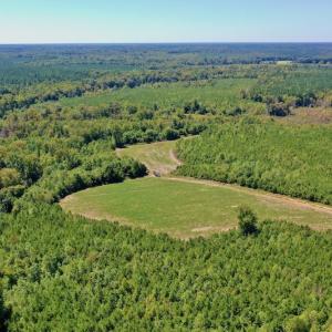 Photo #27 of SOLD property in Off Dennis Harris Rd, Macon, NC 138.1 acres