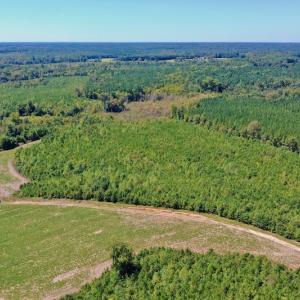 Photo #28 of SOLD property in Off Dennis Harris Rd, Macon, NC 138.1 acres
