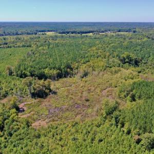 Photo #33 of SOLD property in Off Dennis Harris Rd, Macon, NC 138.1 acres