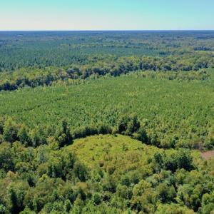 Photo #35 of SOLD property in Off Dennis Harris Rd, Macon, NC 138.1 acres