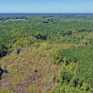 Photo #36 of SOLD property in Off Dennis Harris Rd, Macon, NC 138.1 acres
