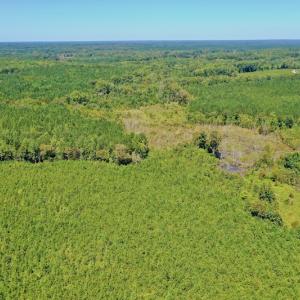Photo #38 of SOLD property in Off Dennis Harris Rd, Macon, NC 138.1 acres