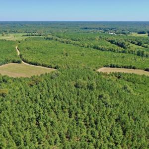 Photo #46 of SOLD property in Off Dennis Harris Rd, Macon, NC 138.1 acres