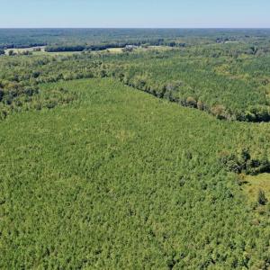 Photo #49 of SOLD property in Off Dennis Harris Rd, Macon, NC 138.1 acres