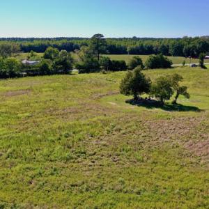 Photo #12 of Off Hwy 305, Rich Square, NC 30.1 acres