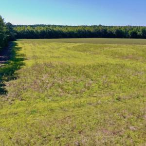 Photo #23 of Off Hwy 305, Rich Square, NC 30.1 acres