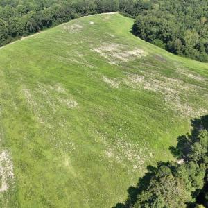 Photo #14 of Off Barber Mill Road, Clayton, NC 152.8 acres