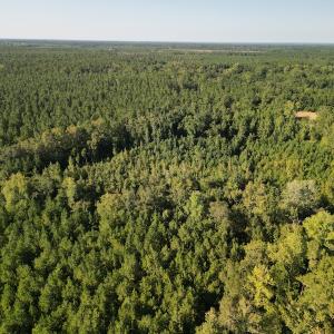 Photo #9 of SOLD property in Off Figure 9 Rd, Council, NC 6.5 acres