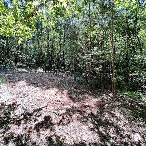 Photo #28 of SOLD property in Off Coon Myrick Rd, Littleton, NC 7.0 acres