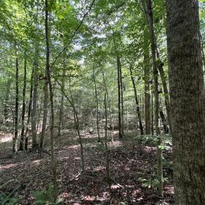 Photo #7 of SOLD property in 1055 Barker Road , Oxford, NC 13.2 acres