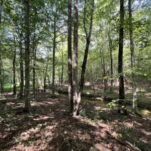 Photo #8 of SOLD property in 1055 Barker Road , Oxford, NC 13.2 acres