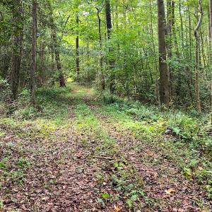 Photo #3 of Off Newville Road, Waverly, VA 150.0 acres