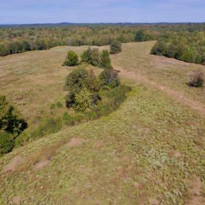 Photo #6 of Off Lowrys Road, Gaffney, SC 579.9 acres