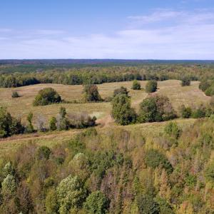 Photo #10 of Off Lowrys Road, Gaffney, SC 579.9 acres